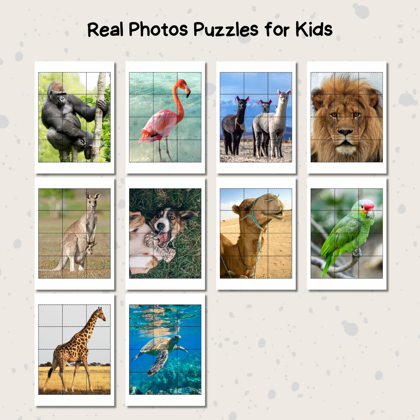 12 Pieces Animals Puzzle