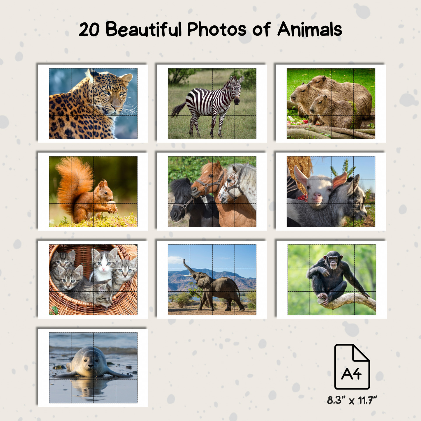 12 Pieces Animals Puzzle