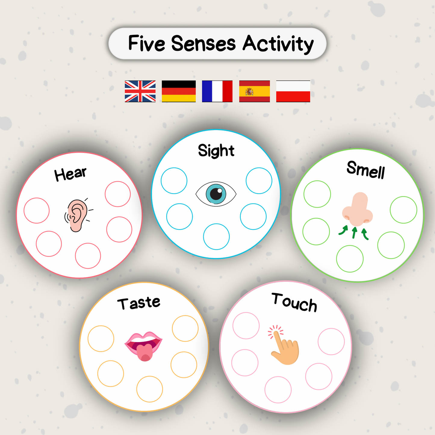 Five Senses Activity