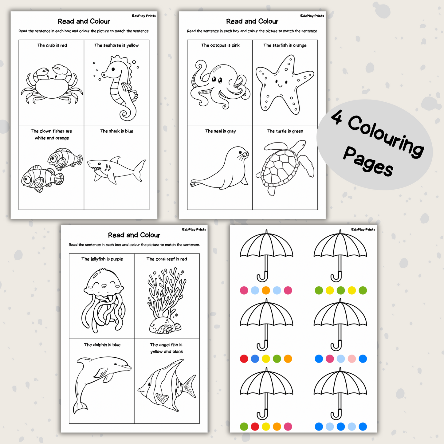 Colouring Workbook